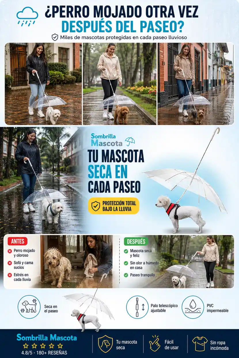 Sombrilla Transparente para Mascotas - Tu Peludo Seco en Cada Paseo - 30% Descuento
